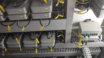 王靜主任一行八人在企業(yè)進(jìn)行實(shí)習(xí)生跟蹤調(diào)研